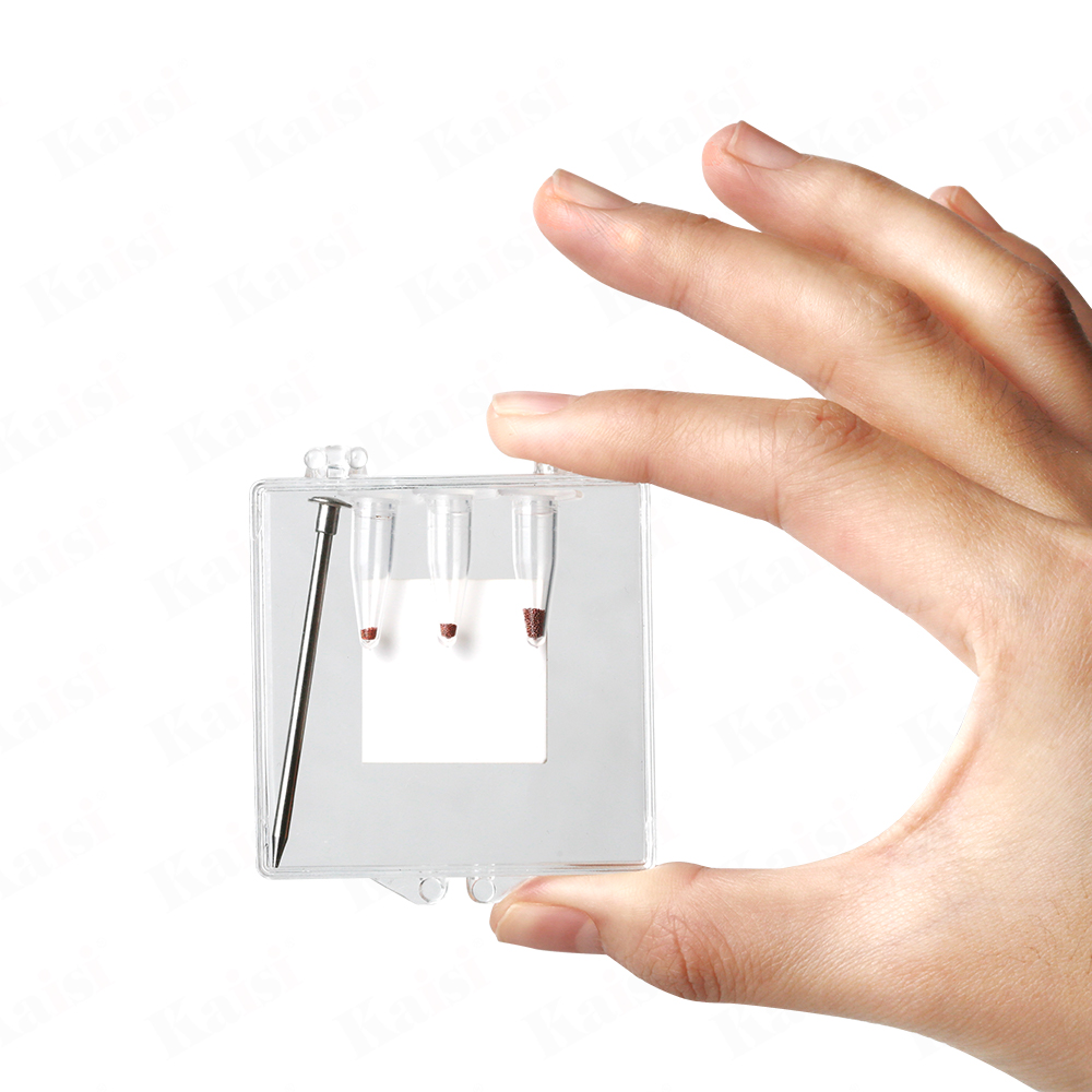 Kaisi LS-2401 Entegre Bacaklar