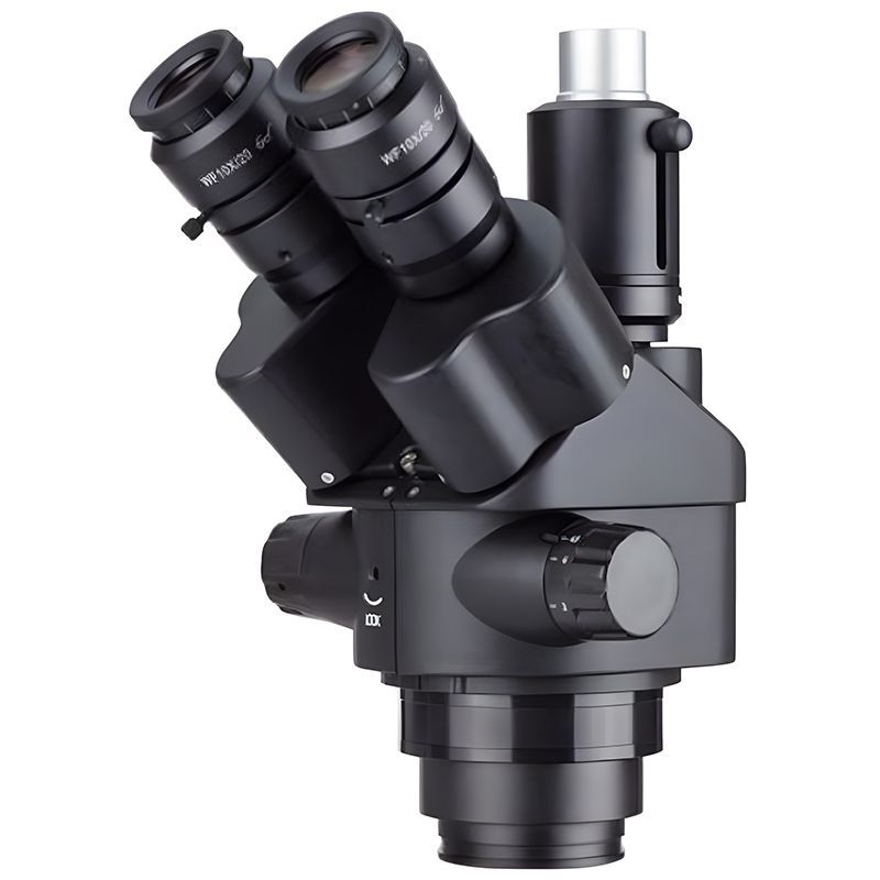 Amscope Kafa Siyah