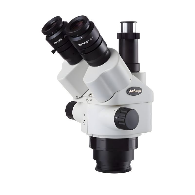 Amscope Kafa Beyaz